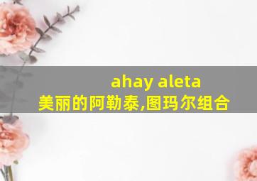 ahay aleta 美丽的阿勒泰,图玛尔组合